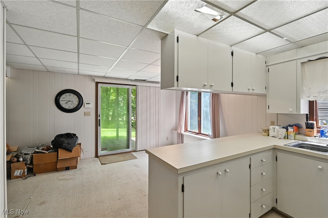 Lexview Allotment - Residential