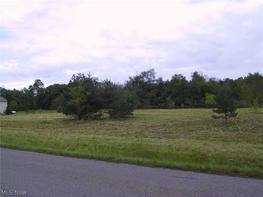 Peaceful country living on this 2 acre building lot.  Build your dream home here!  Not a thru road - local traffic-quiet country road.  Enjoy the local parks within walking distance to the 130 acre Hubbard Valley Park!  Easy access to I-71 and SR 224.  Convenient shopping to nearby Medina and Wadsworth.  Take the time to drive by and envision your dream home!
