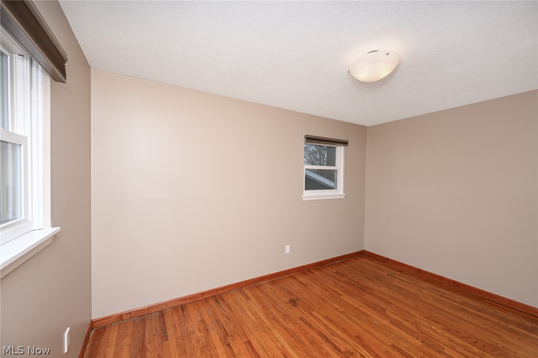 Rose Tree 02 - Residential