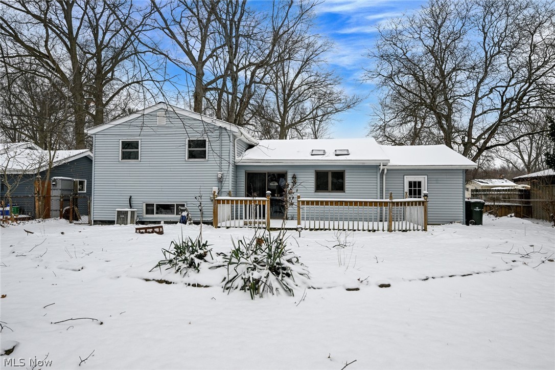 Rose Tree 02 - Residential