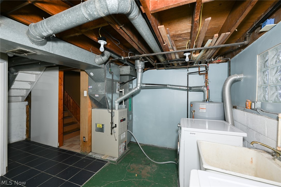 Rose Tree 02 - Residential