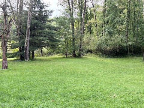 Tiny photo for 5396 Mennonite Road, Mantua, OH 44255 (MLS # 5239303)