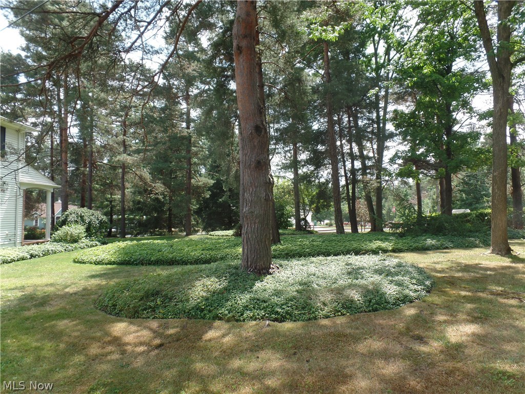 Chardon Park - Residential