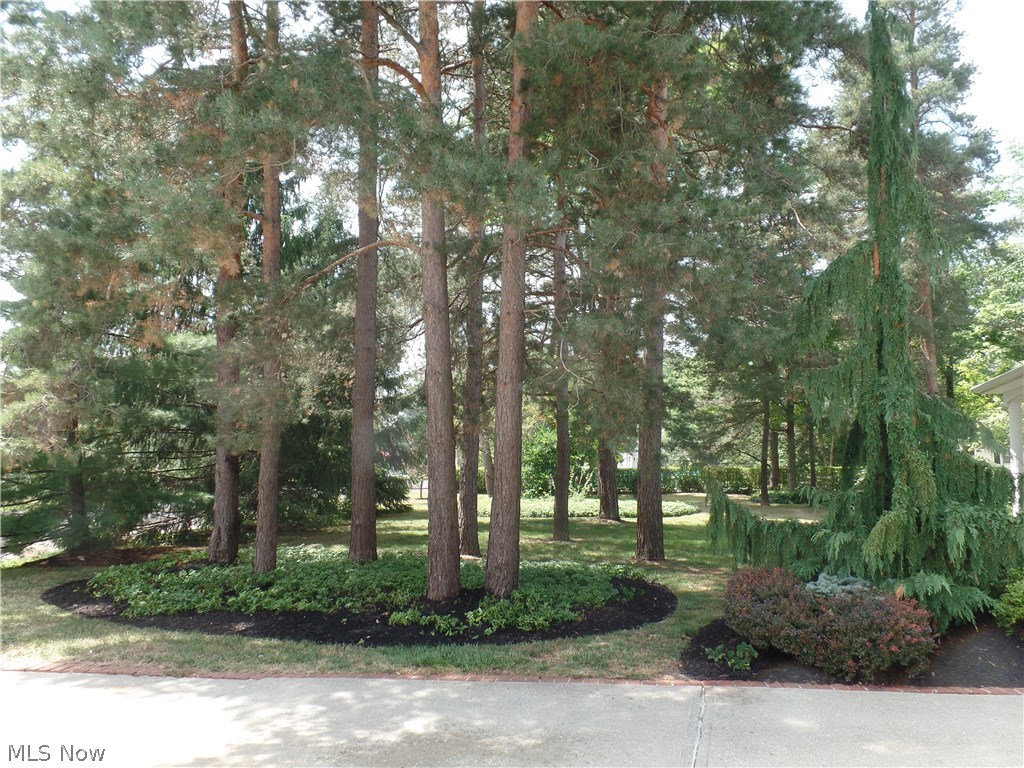 Chardon Park - Residential