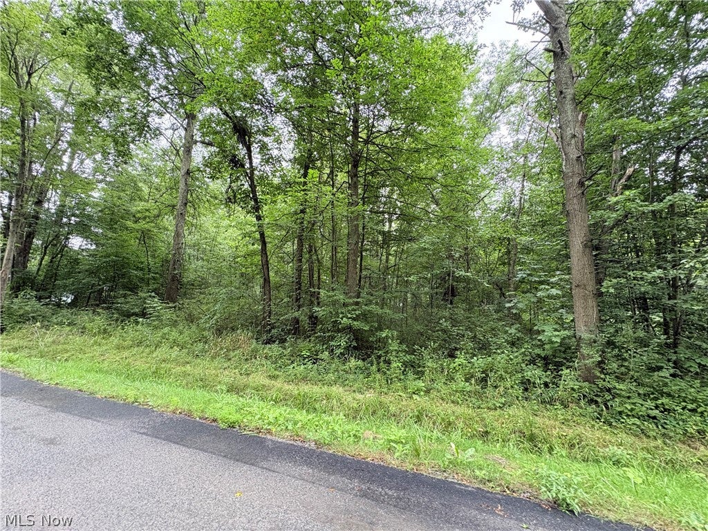 Bon Air Avenue NE
