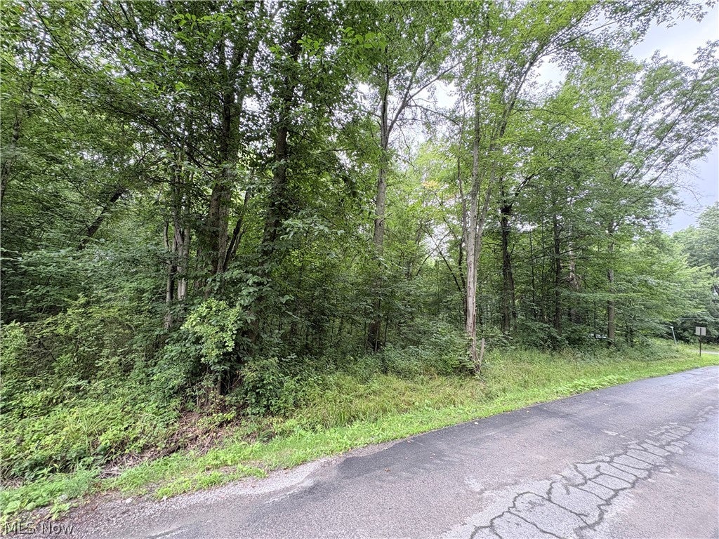 Bon Air Avenue NE