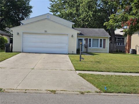705 University Avenue, Elyria, OH 44035 - #: 5053765