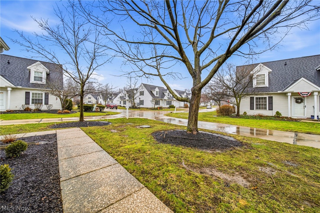 Terrace Commons Condo - Residential