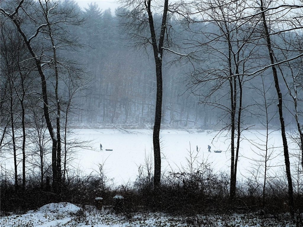 Rockwood Park - Residential