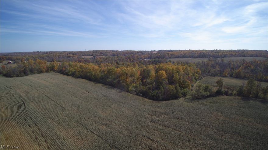 Set up and manage your own dream hunting retreat on this large acreage tract in one of the top Ohio Counties for deer and turkeys every year. With two access points, approximately sixty-two acres of tillable acreage, established food plots, a pole building for storage, a trail system and different stages of timber growth. Several pinch points and funnels make for ideal stand sites, a healthy deer population with history of world class trophies, and the seclusion to make this property a dream within fifty miles of Downtown Columbus. This property also offers secluded building sites for the ultimate retreat. This property offers endless possibilities to the next owner. All mineral interests owned by seller to transfer to buyer at closing. Additional acreage available.