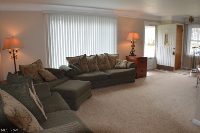 Orchard Heights - Residential