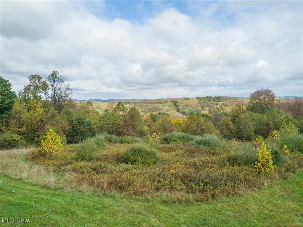 3834 Tabor Ridge Road, Mineral City, Ohio image 42