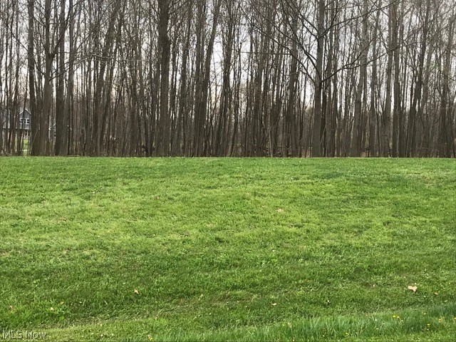 Highlands/Edinburg - Land