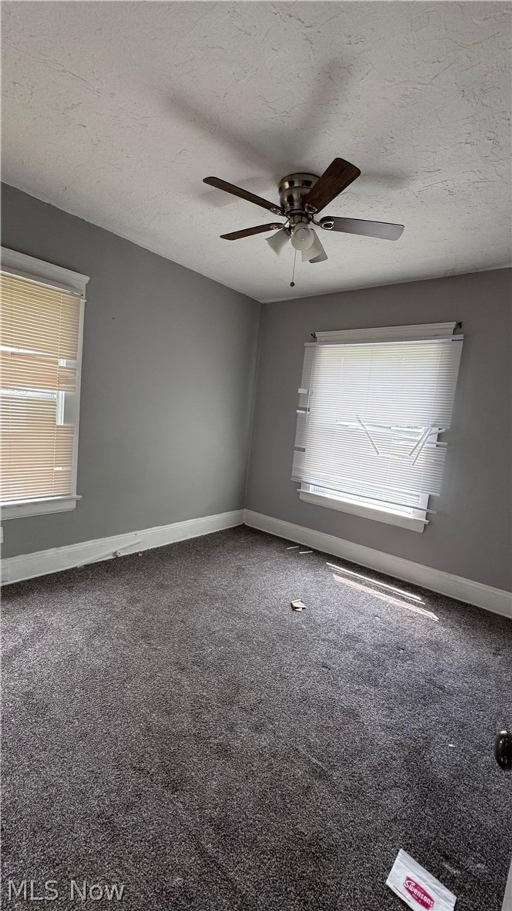 Photo of 877 Rudyard Road, Cleveland, OH 44110 (MLS # 5209360)