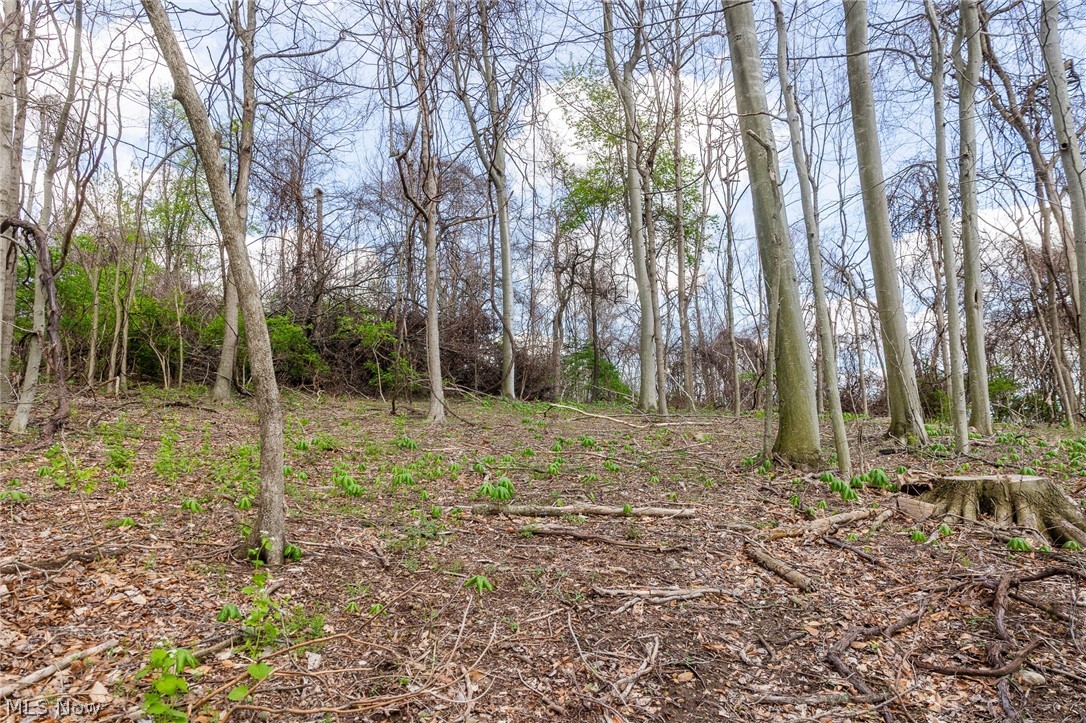 105 W Hanley Road