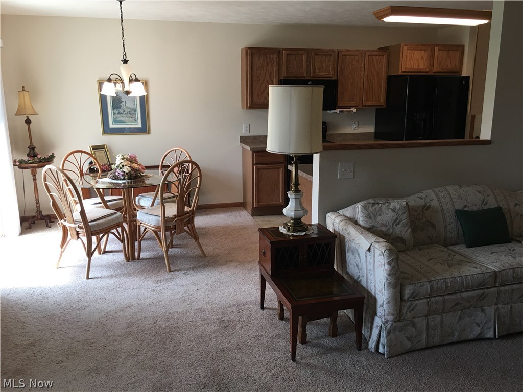 Brittany Mdws Condos - Residential