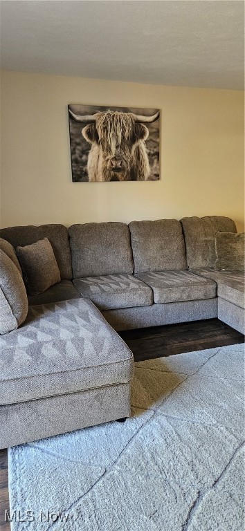 Steeple Chase - Residential