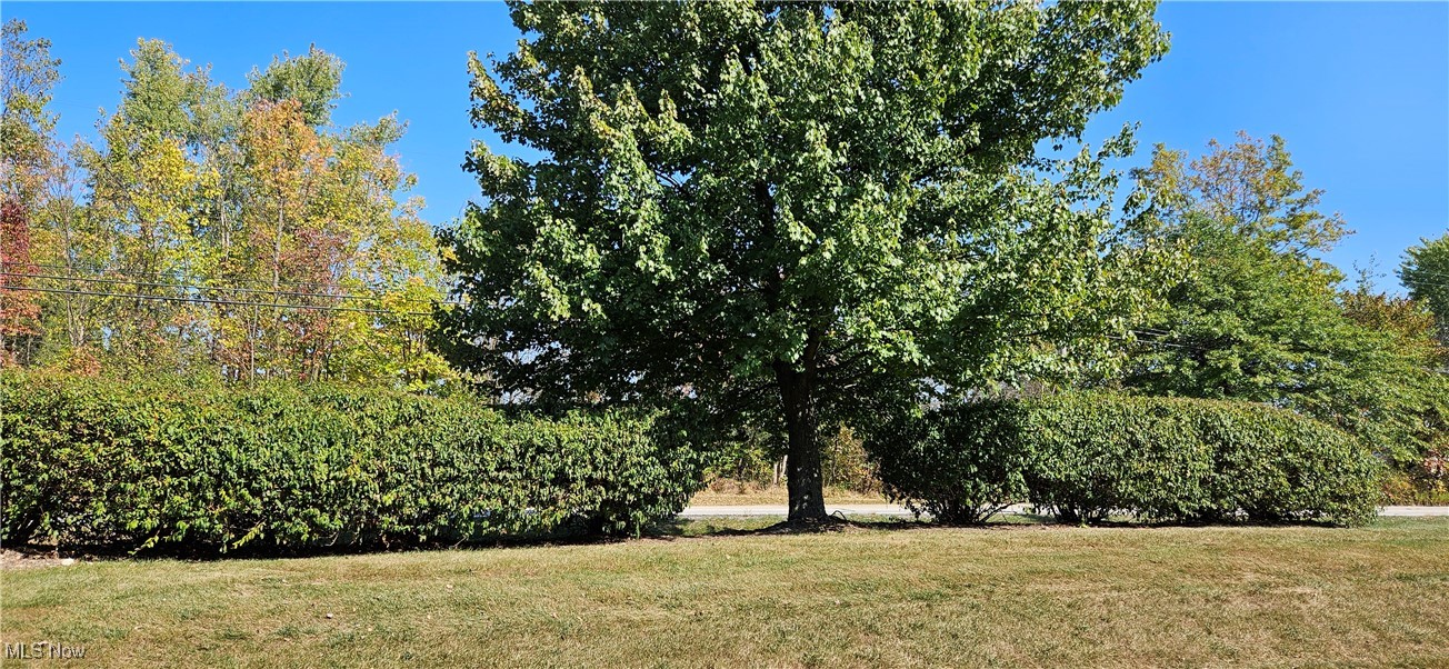 Steeple Chase - Residential