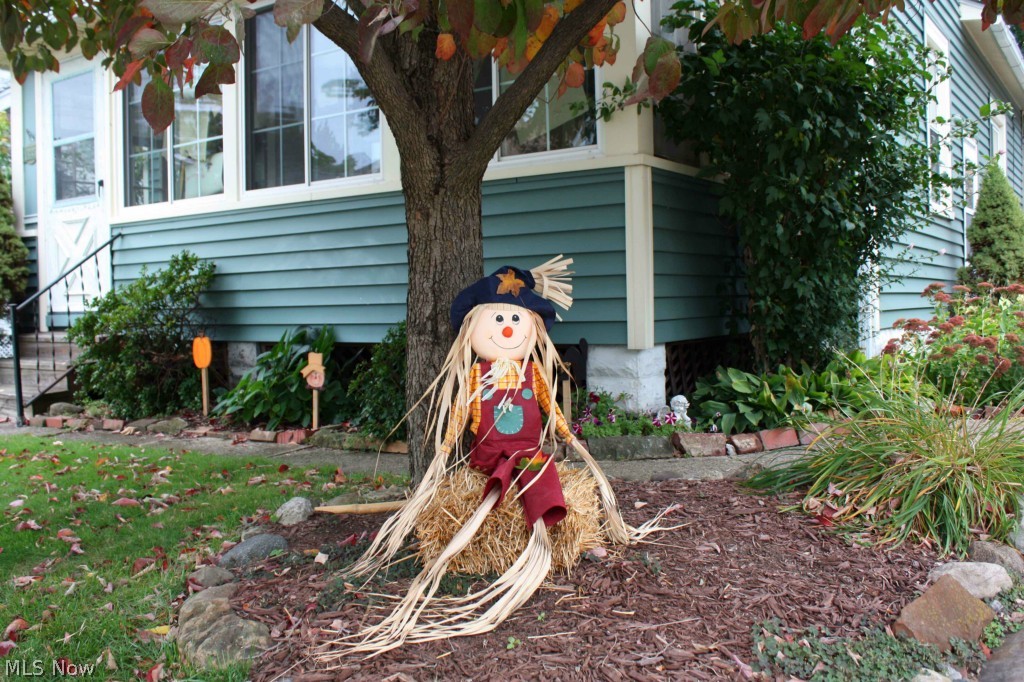 North of Detroit Avenue - Residential