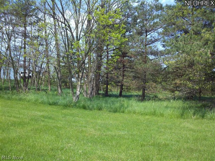 Build Your Dream Home on this Beautiful Wooded Home-Site. Large almost 1 acre Level Lot. Sidewalks. Sewer and Water Laterals are in.  Gas and Electric at street. Deep Set Back off street. Close to all the ammenities of the City of Twinsburg, including fitness center, shopping, schools, and restaurants, yet easy access to highways. Call for List of Builders.