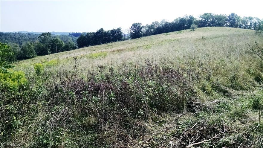 Don't miss this 91 acre multi use property. there are several excellent sites for a new home with panoramic views of the valley. This was once a working farm and could easily be farmed again with open pastures, 40x60 pole barn, equipment shed, older farmhouse( selling AS IS ) that needs major updates and a small orchard . There is an abundance of wild life and could be the ideal recreational/hunting retreat. Any mineral rights that the seller owns will transfer at closing. It will be the buyers responsibility for a mineral right search.  There is a deeded easement to the property from C.R 70 along an existing driveway to the farmhouse.