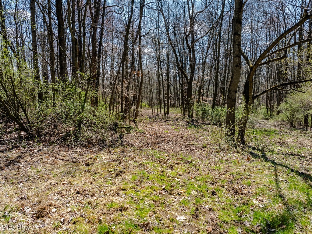 5742 Hilltop Drive, Strasburg, Ohio image 18