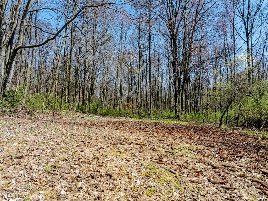 5742 Hilltop Drive, Strasburg, Ohio image 13