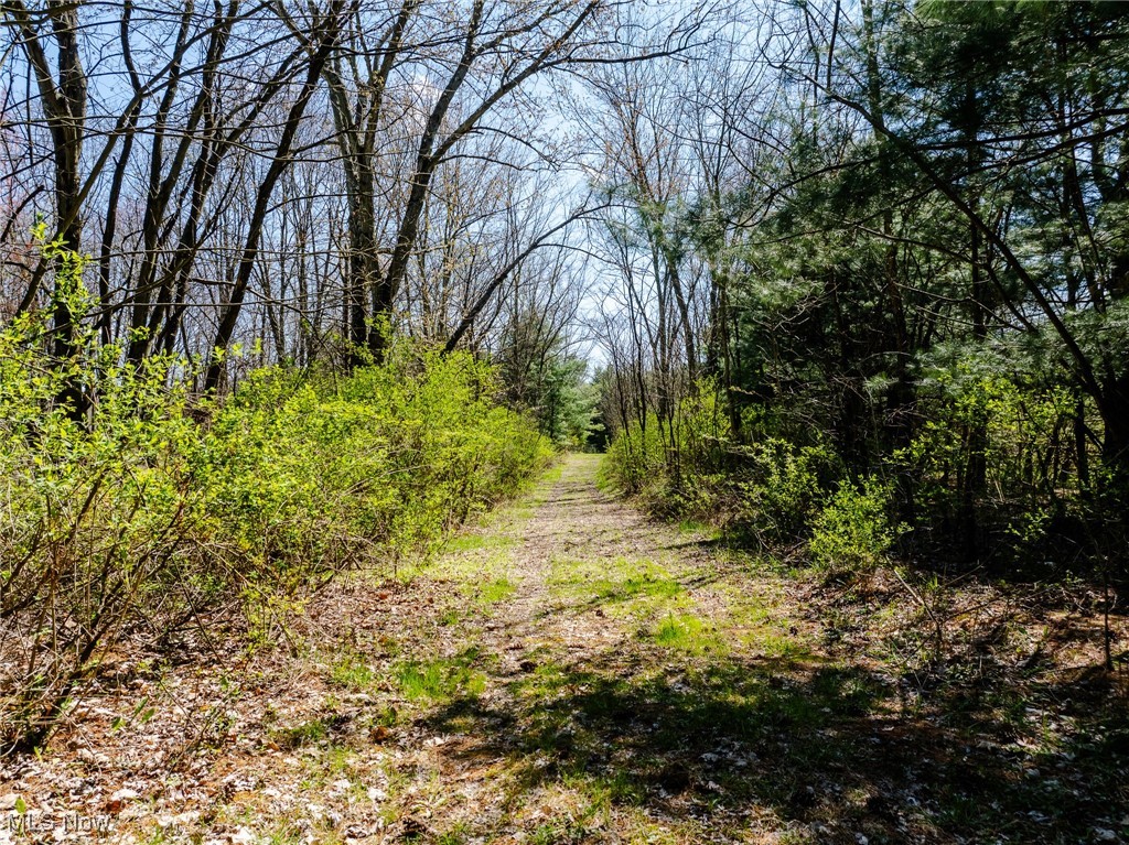 5742 Hilltop Drive, Strasburg, Ohio image 3