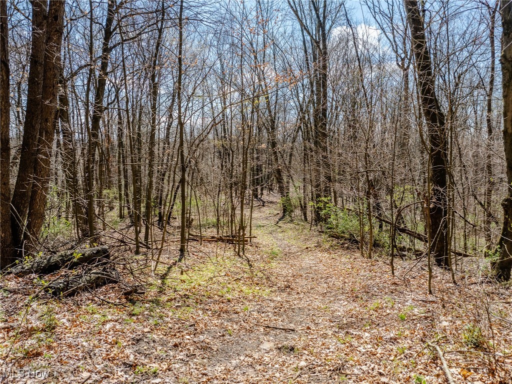 5742 Hilltop Drive, Strasburg, Ohio image 17