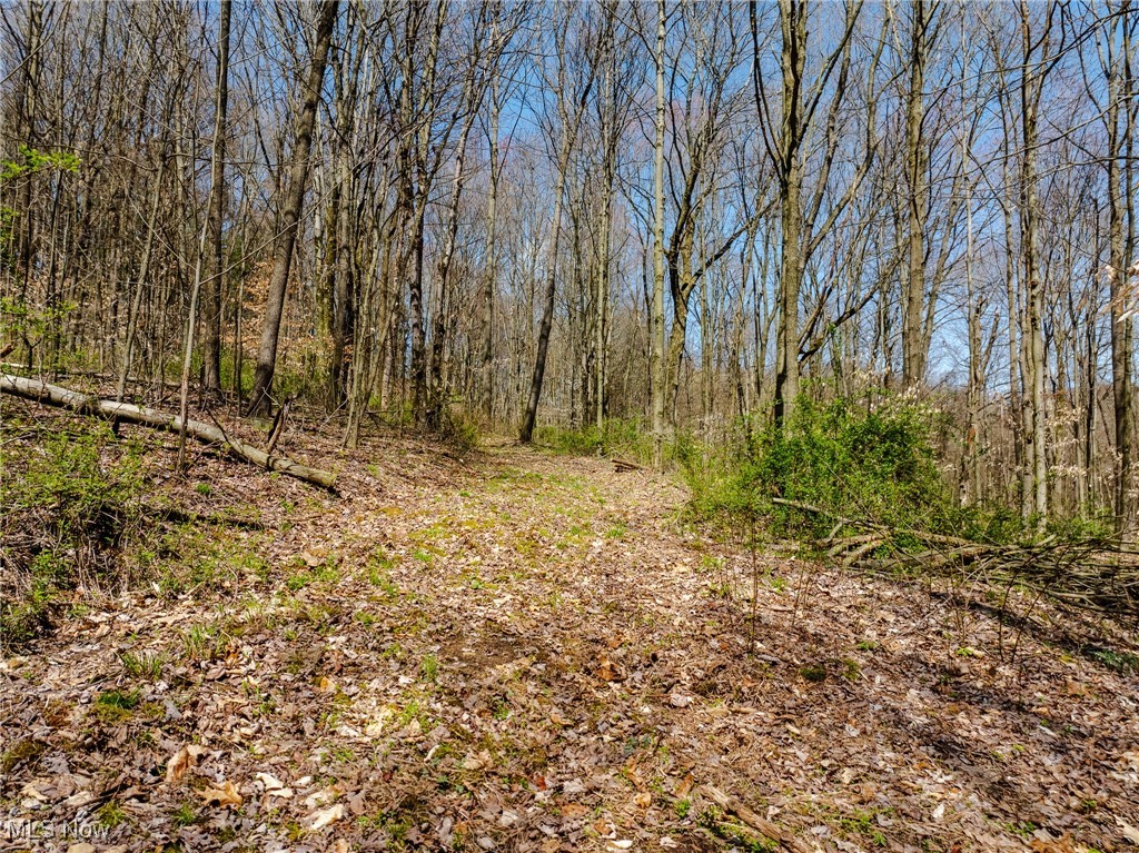 5742 Hilltop Drive, Strasburg, Ohio image 23