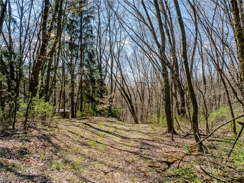 5742 Hilltop Drive, Strasburg, Ohio image 34