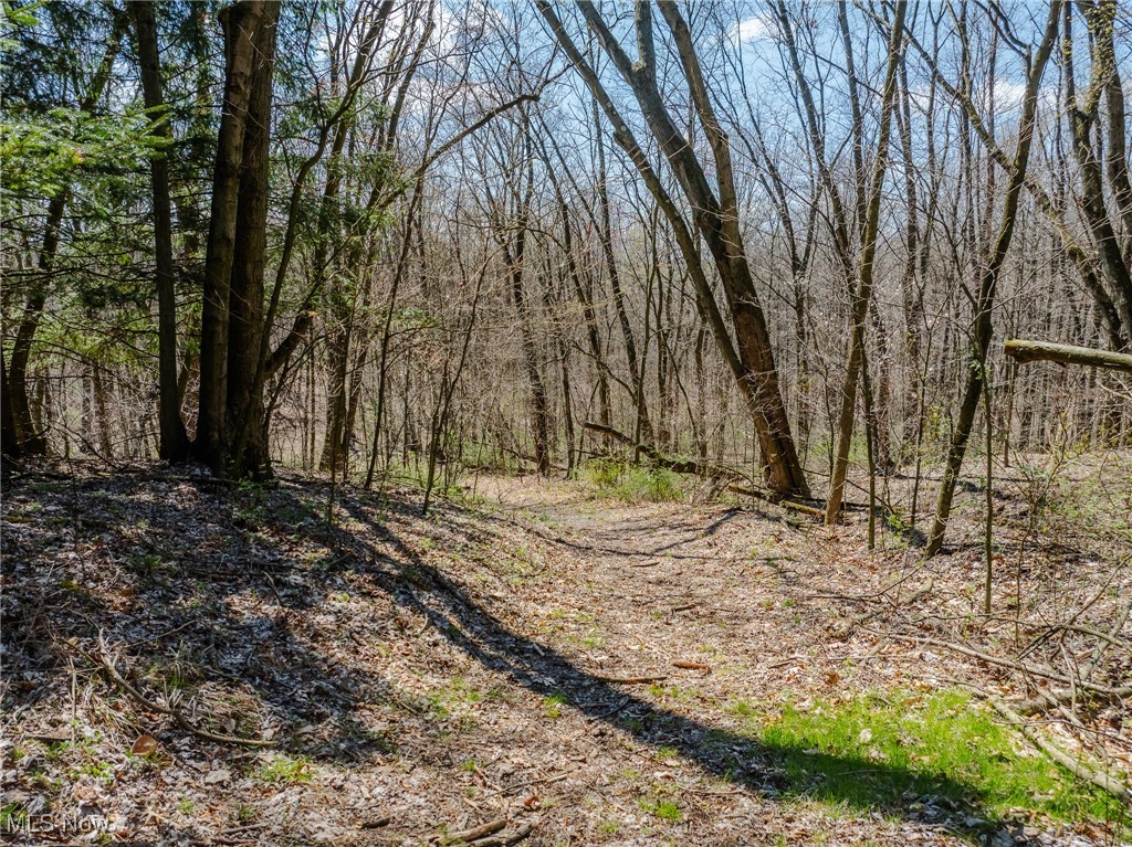 5742 Hilltop Drive, Strasburg, Ohio image 35