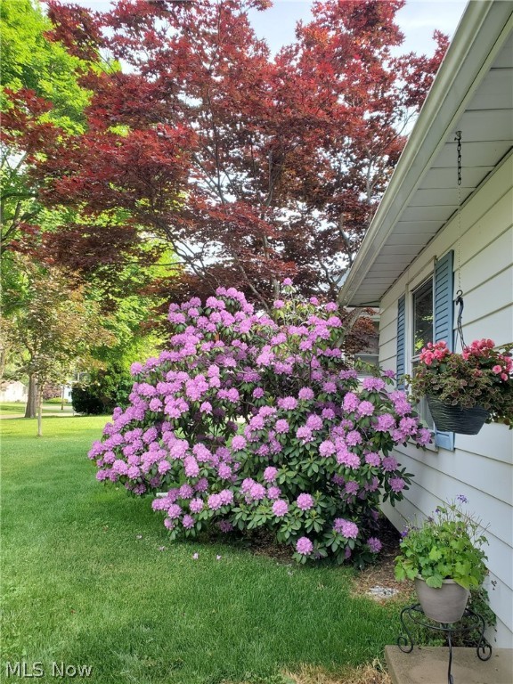 Silver Lake Heights - Residential
