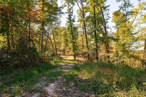 Tiny photo for Keithtown Road, Caldwell, OH 43724 (MLS # 5251943)