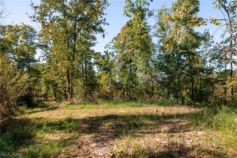 Tiny photo for Keithtown Road, Caldwell, OH 43724 (MLS # 5251943)