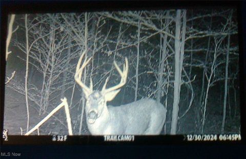 Tiny photo for 0 McConnell East, Southington, OH 44470 (MLS # 5179726)