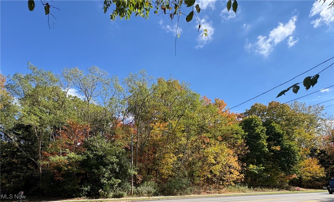 Original Willoughby Township 10 - Land