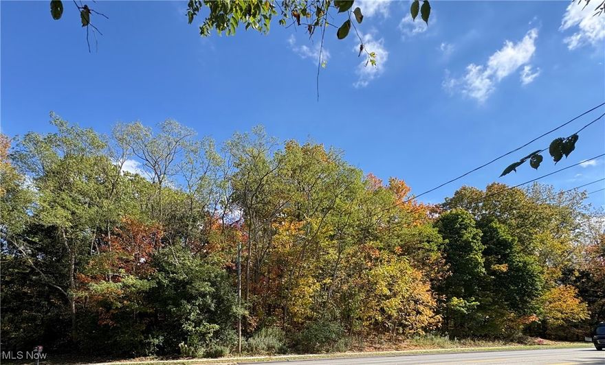 Utilities on the Street. Vacant Lot. Bring your builder! Great location to freeways, hospitals, schools, parks, golf, and shopping.