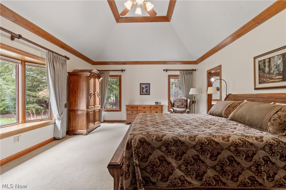 Meadows - Residential