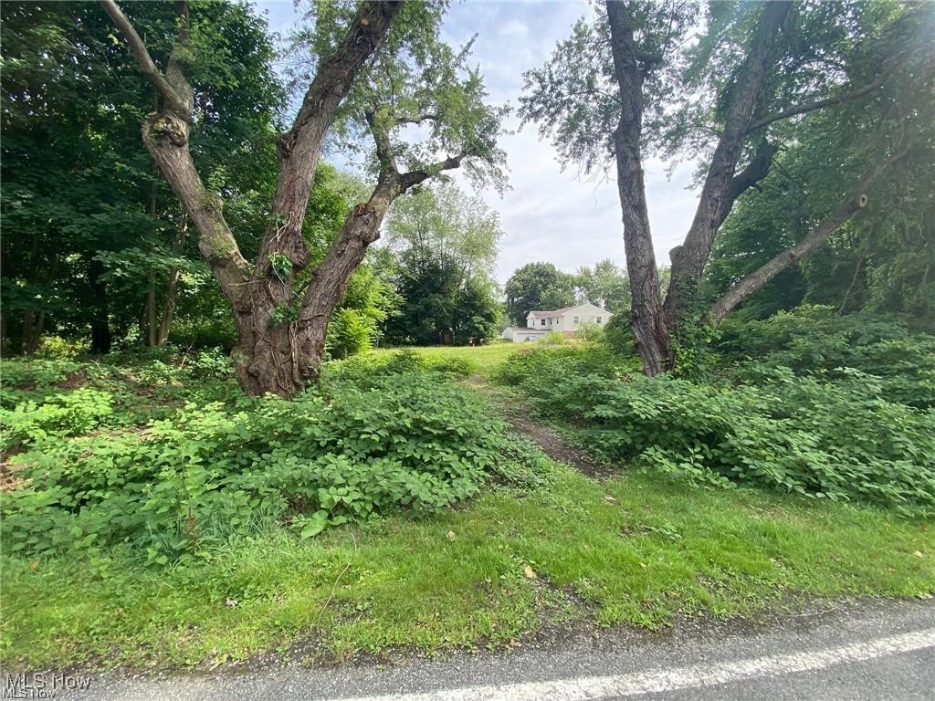 202 W Warner Road, Akron, Ohio image 2