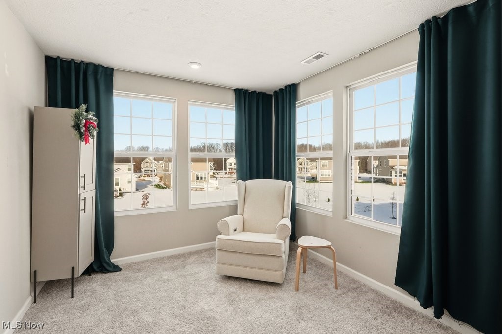 Renaissance Pk/Geauga Lake West- - Residential