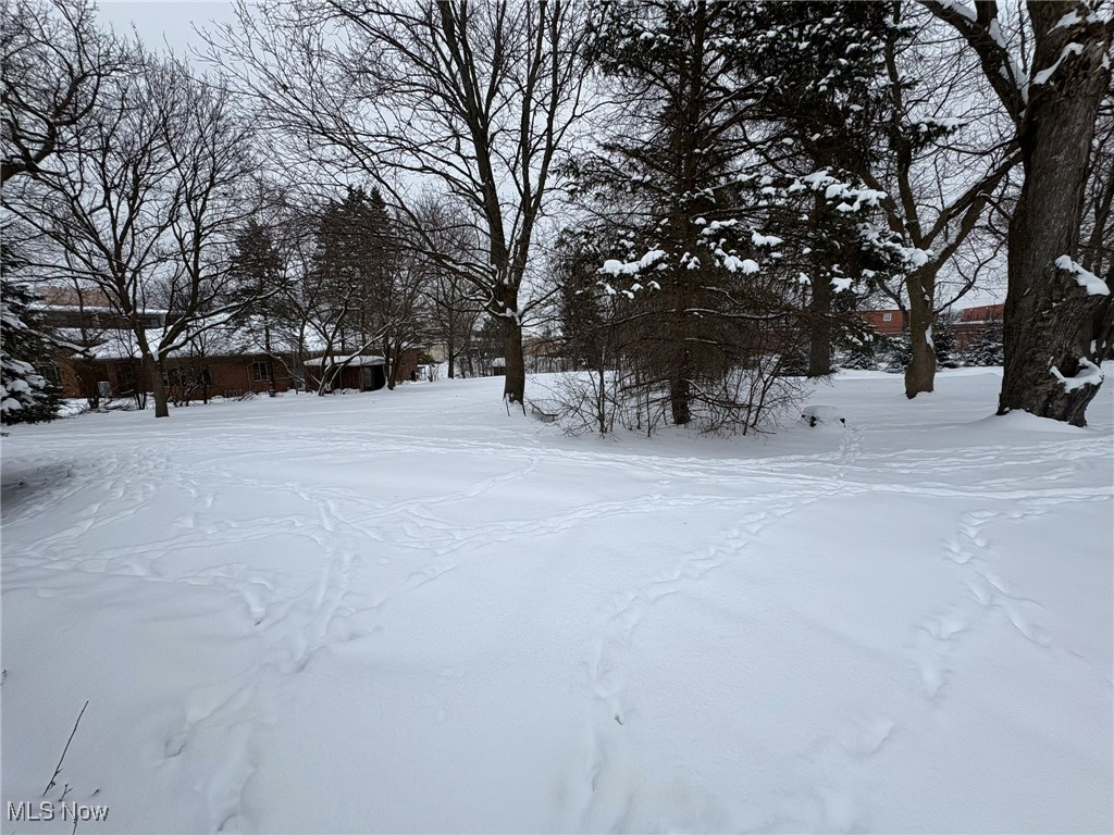 Longview Dev - Residential