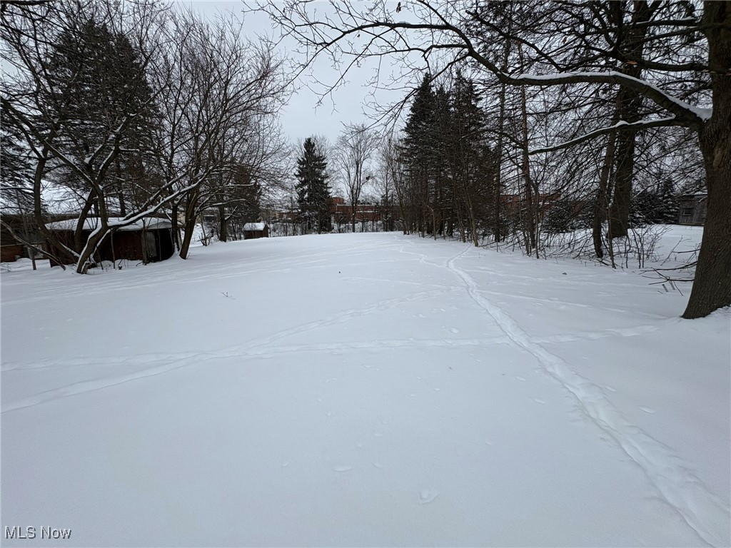 Longview Dev - Residential