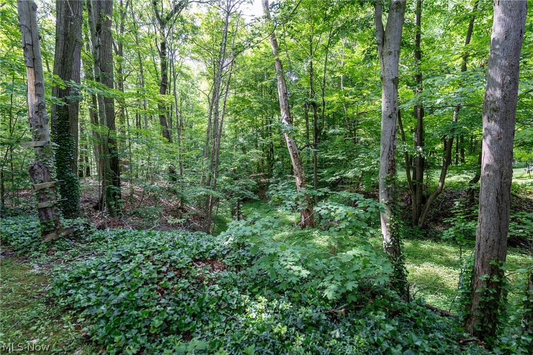 Twin Mills - Residential