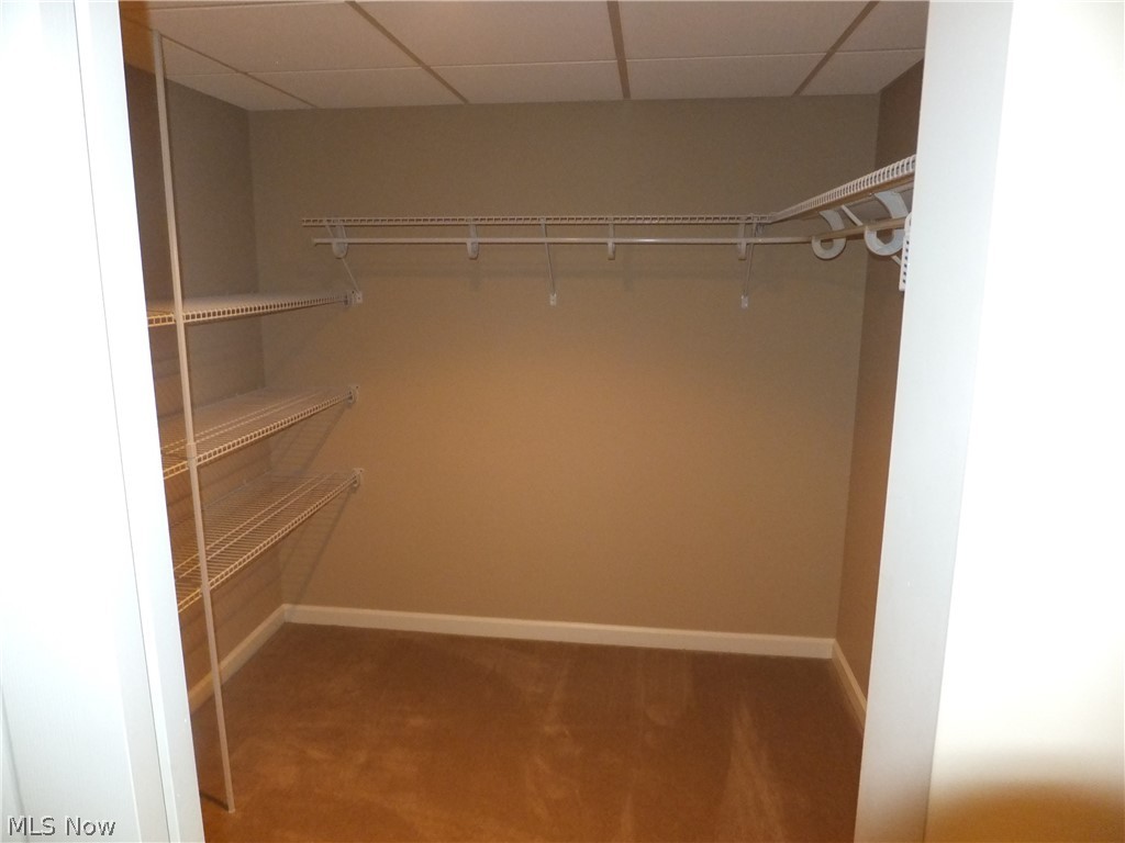 Glencairn Frst/Woods Ph 04 - Residential