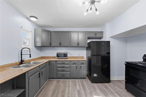 Tiny photo for 876 Eloise Drive, Cleveland, OH 44112 (MLS # 5187599)