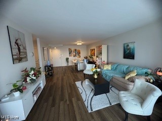 3167 Linden Road 309