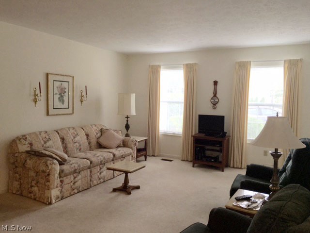 Brook Point Village Condo - Residential