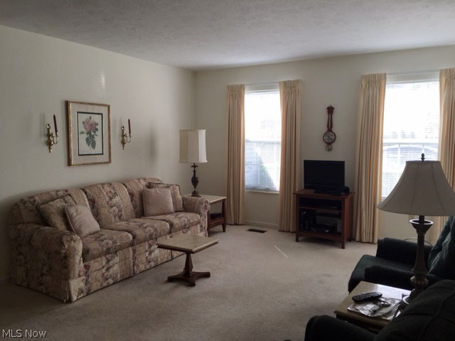 Brook Point Village Condo - Residential