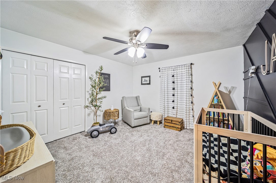 3411 Wood Road, Madison, Ohio image 26